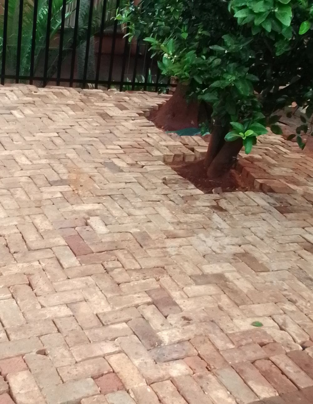 Good Services project image